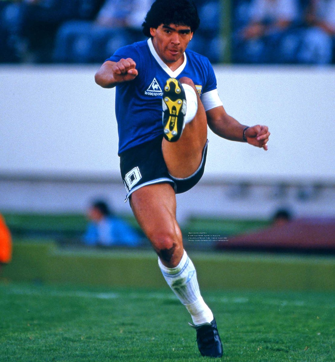 WhatsApp Image 2019-07-26 at 10.15.52