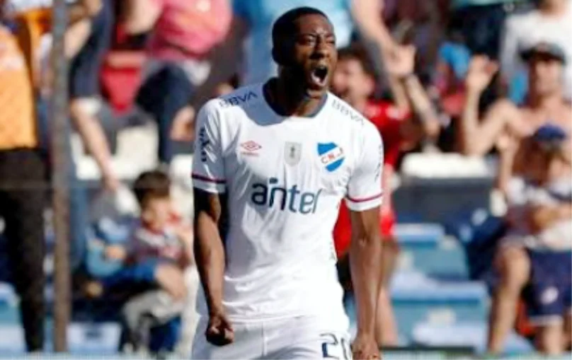 Carneiro