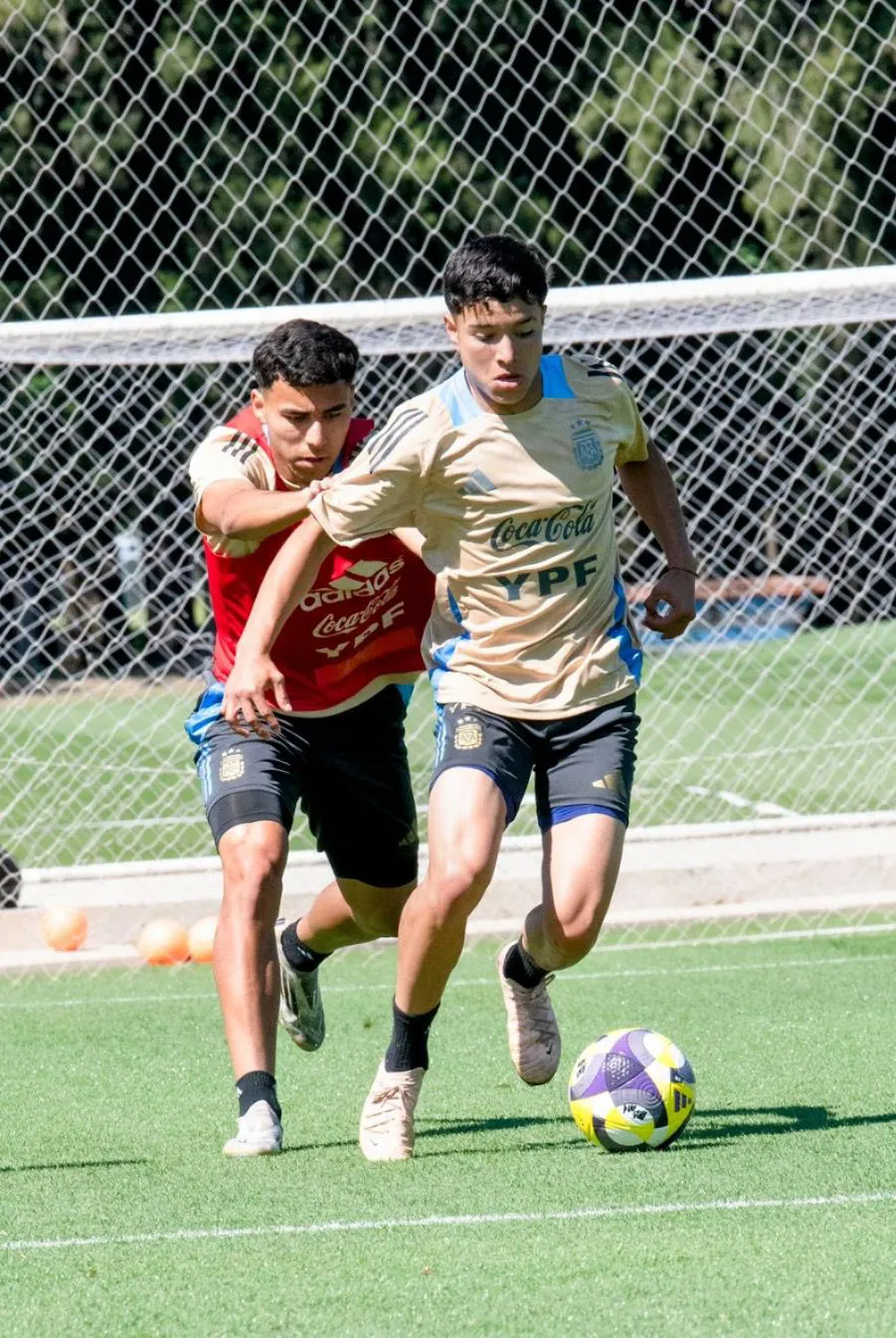 WhatsApp Image 2025-10-17 at 17.32.40