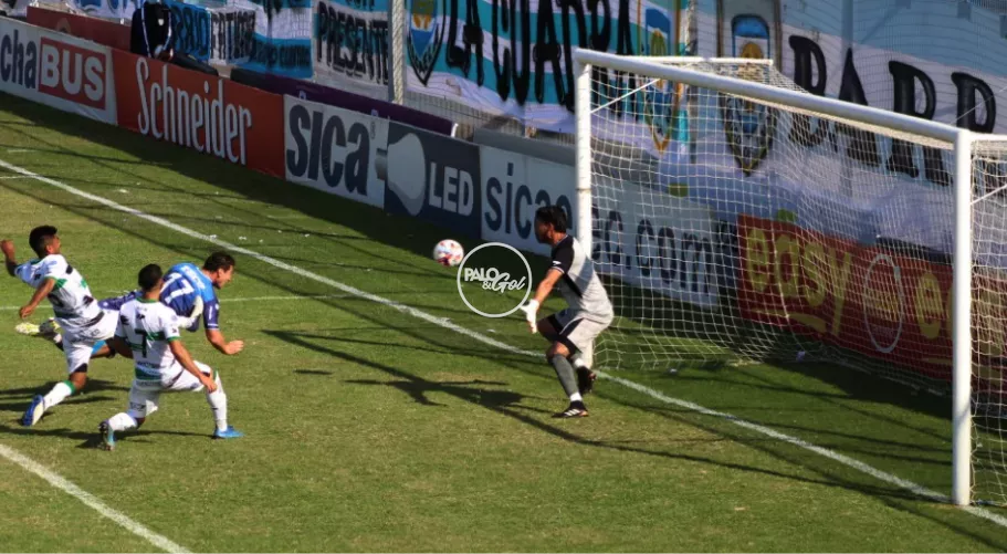 BICHO GOL