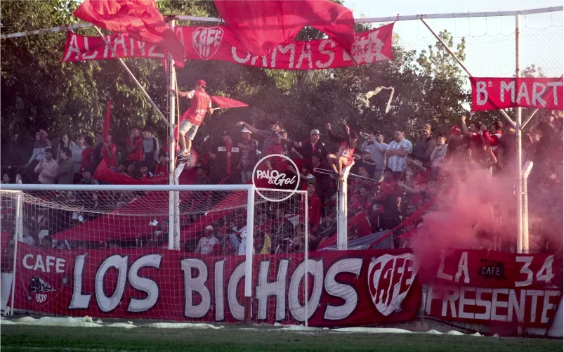 bichos