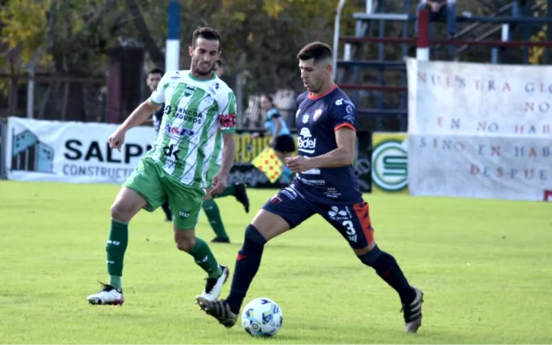 BICHO VERDE