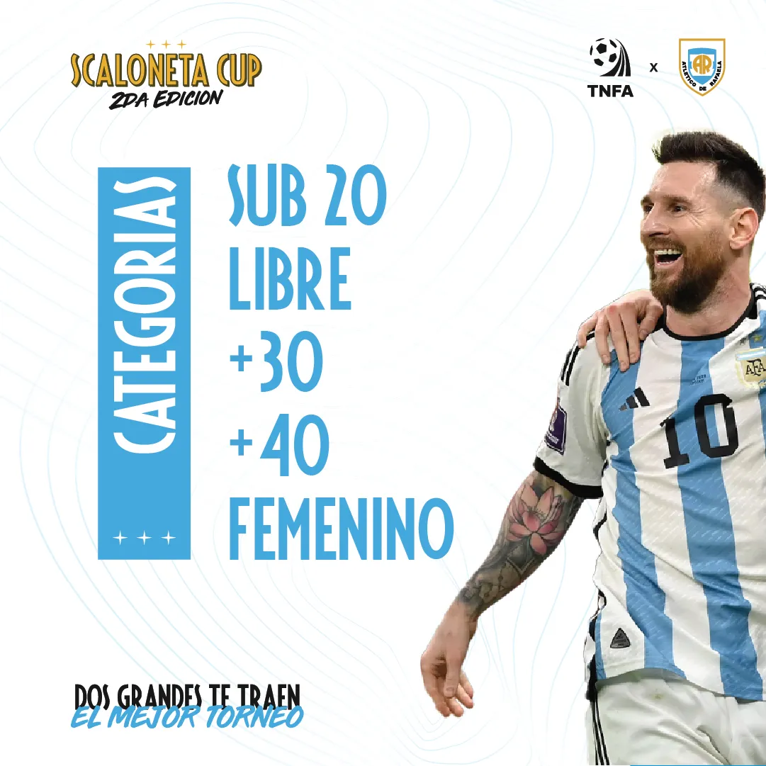 categorías feedMesa de trabajo 8 copia-100