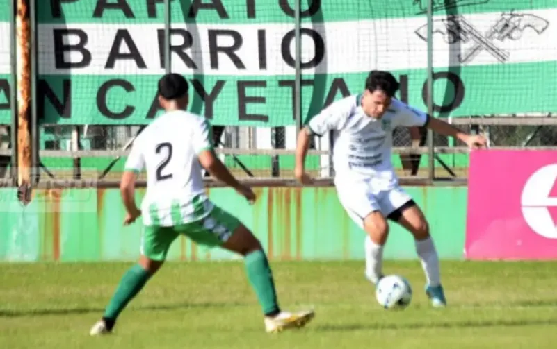 bicho verde
