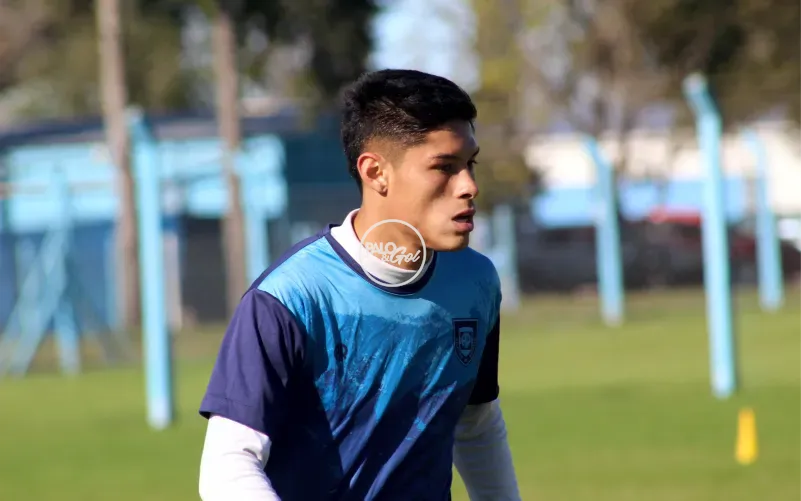 fede torres