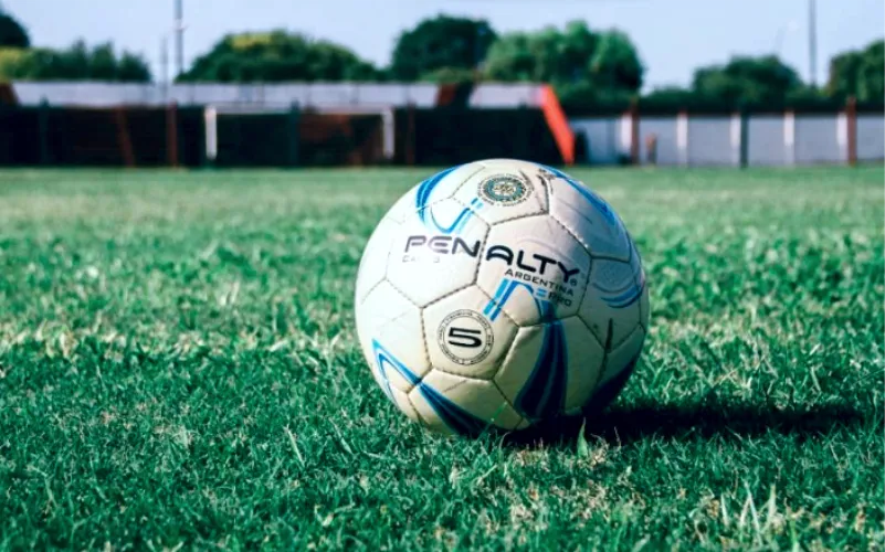 pelota