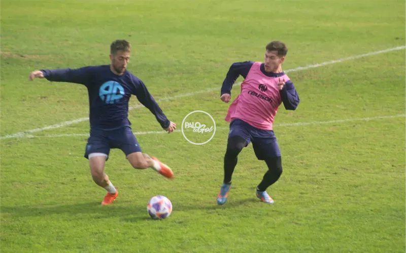 fiso y colo