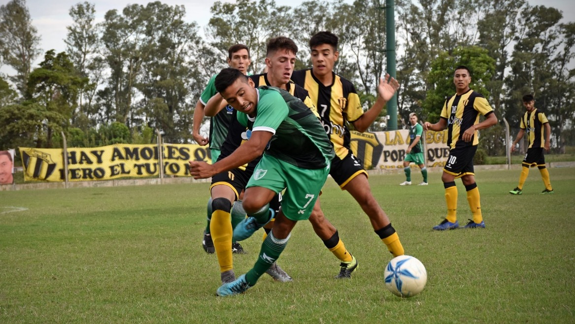 Brown-Libretad-Regional
