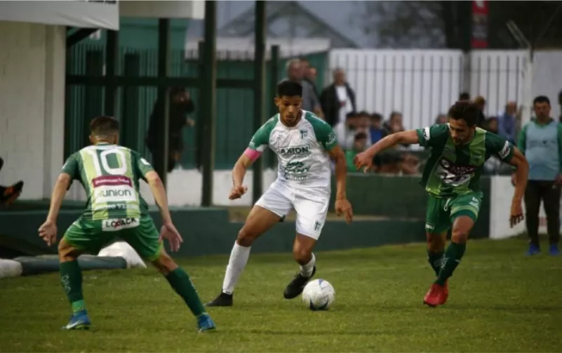 bicho verde