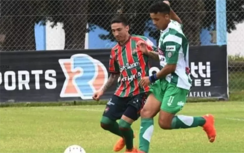 bicho verde