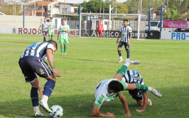 bicho}