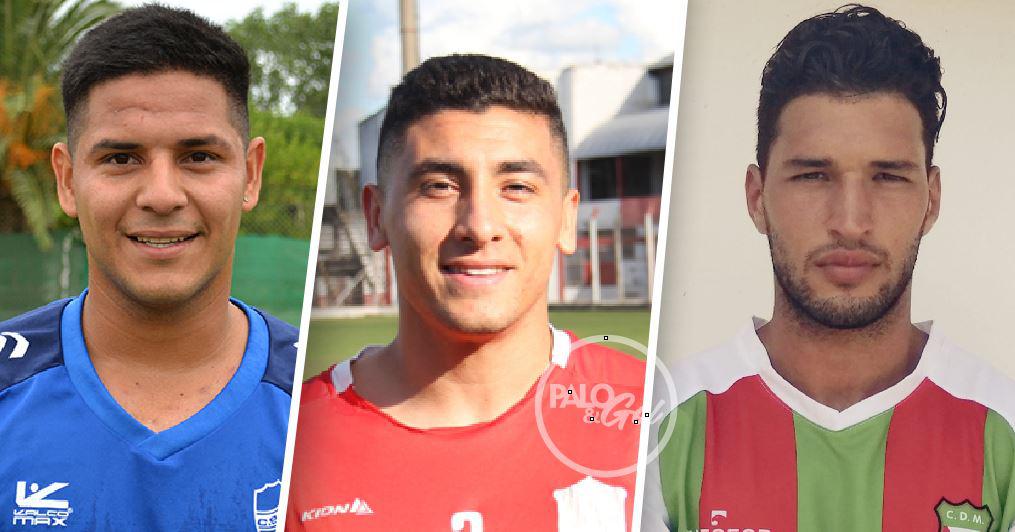 quiroz-Speck-Alberione